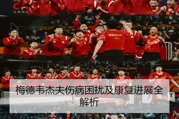 梅德韦杰夫伤病困扰及康复进展全解析（godocean）